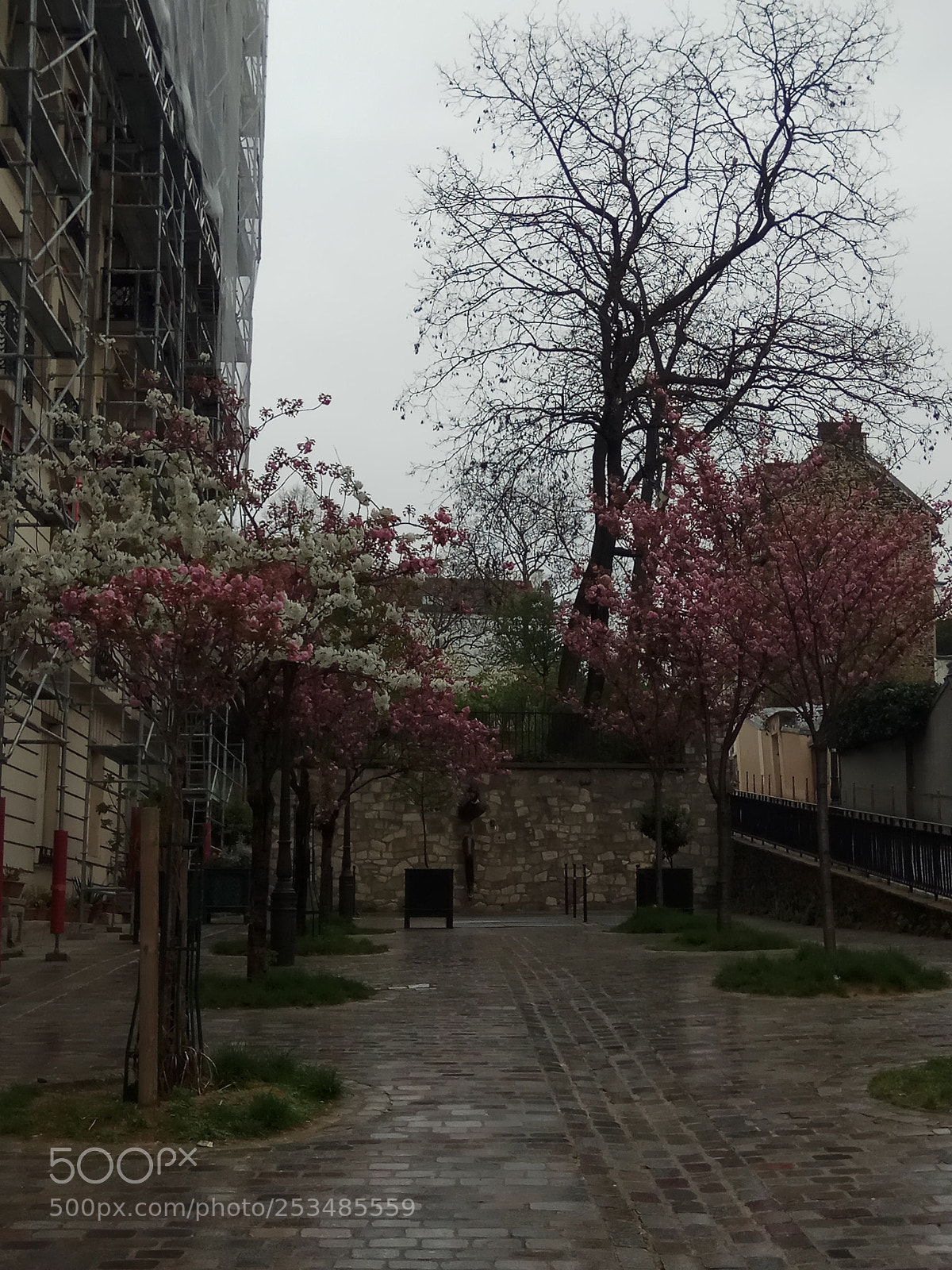 Xiaomi Redmi Note 4X sample photo. Le d but du photography