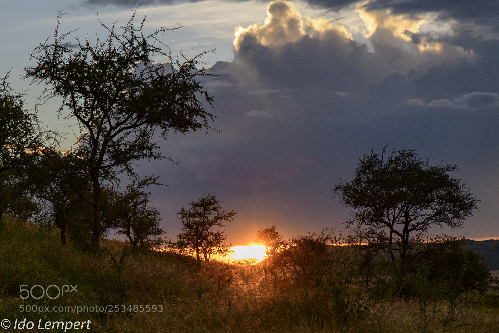 Nikon D850 sample photo. Sunset at serengeti photography