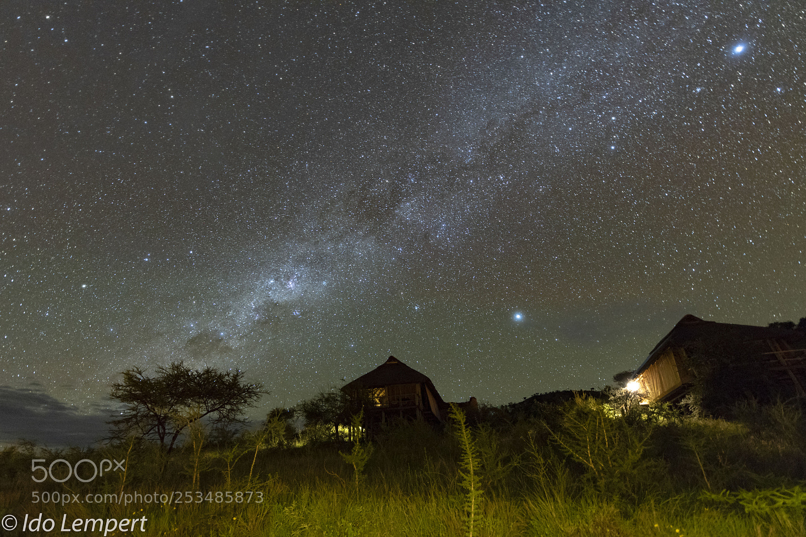 Nikon D850 sample photo. Night at serengeti photography