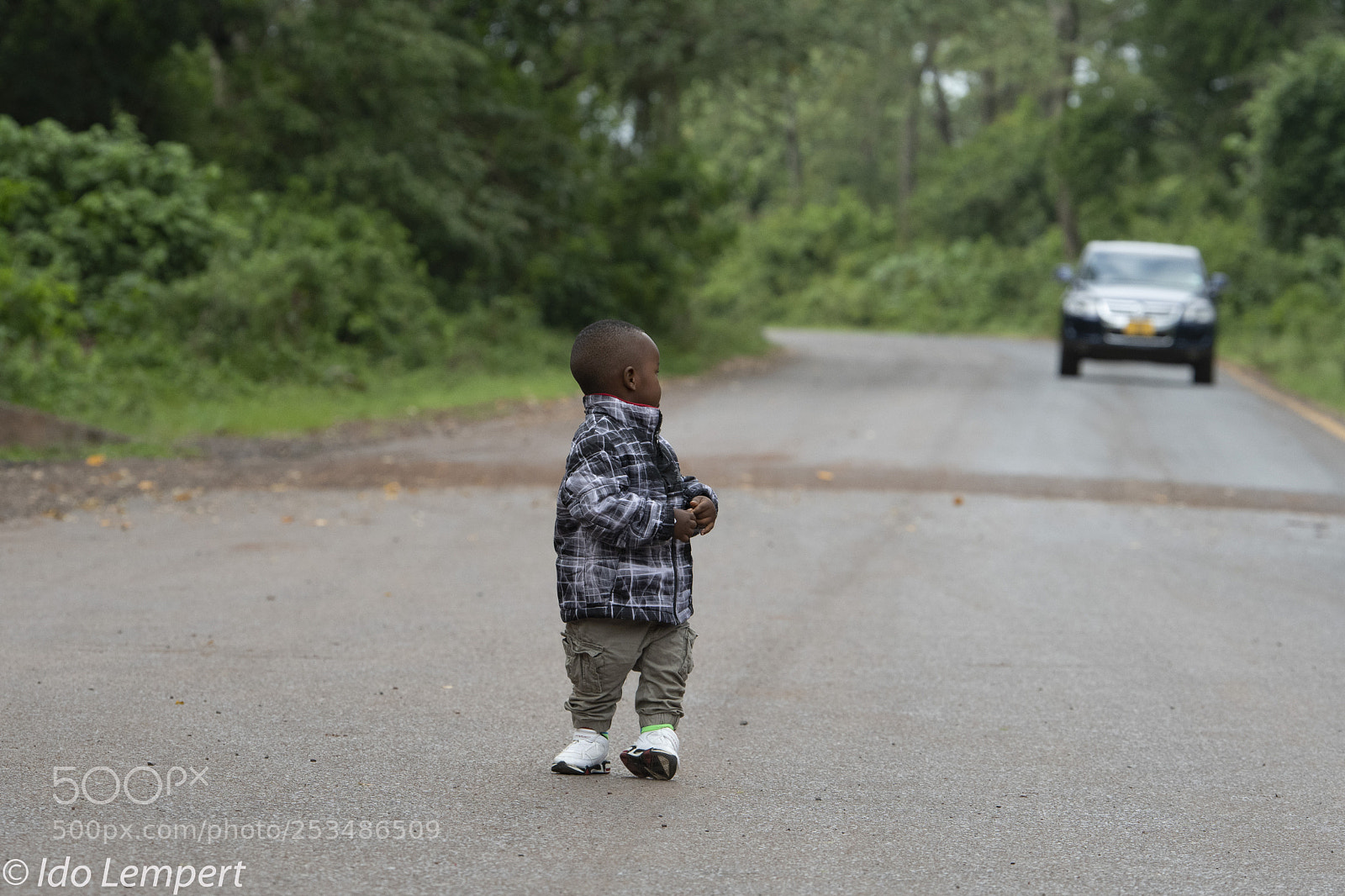 Nikon D500 sample photo. A car is approaching photography