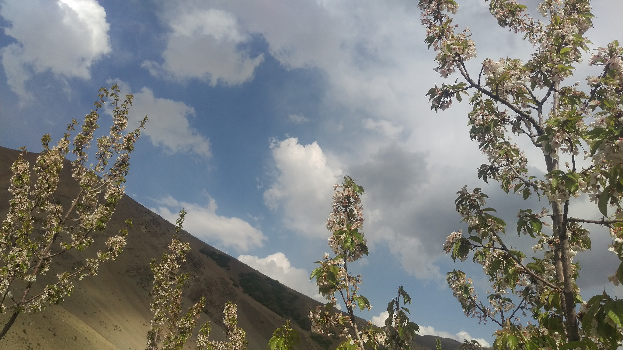 HTC ONE M9 sample photo. A spring themed afternoon photography