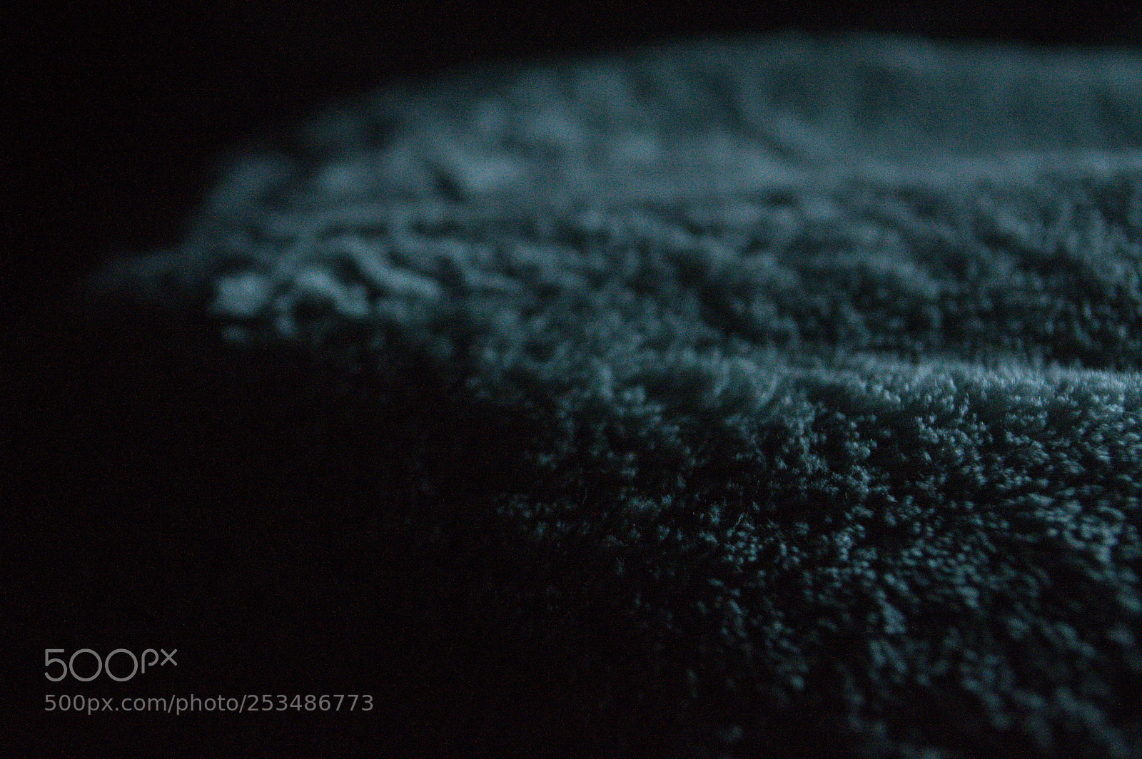Nikon D3200 sample photo. Strange photography