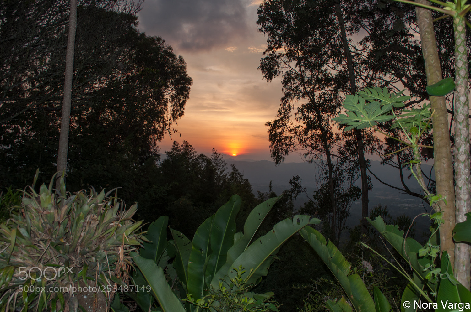 Nikon D5000 sample photo. Colombia sunset photography