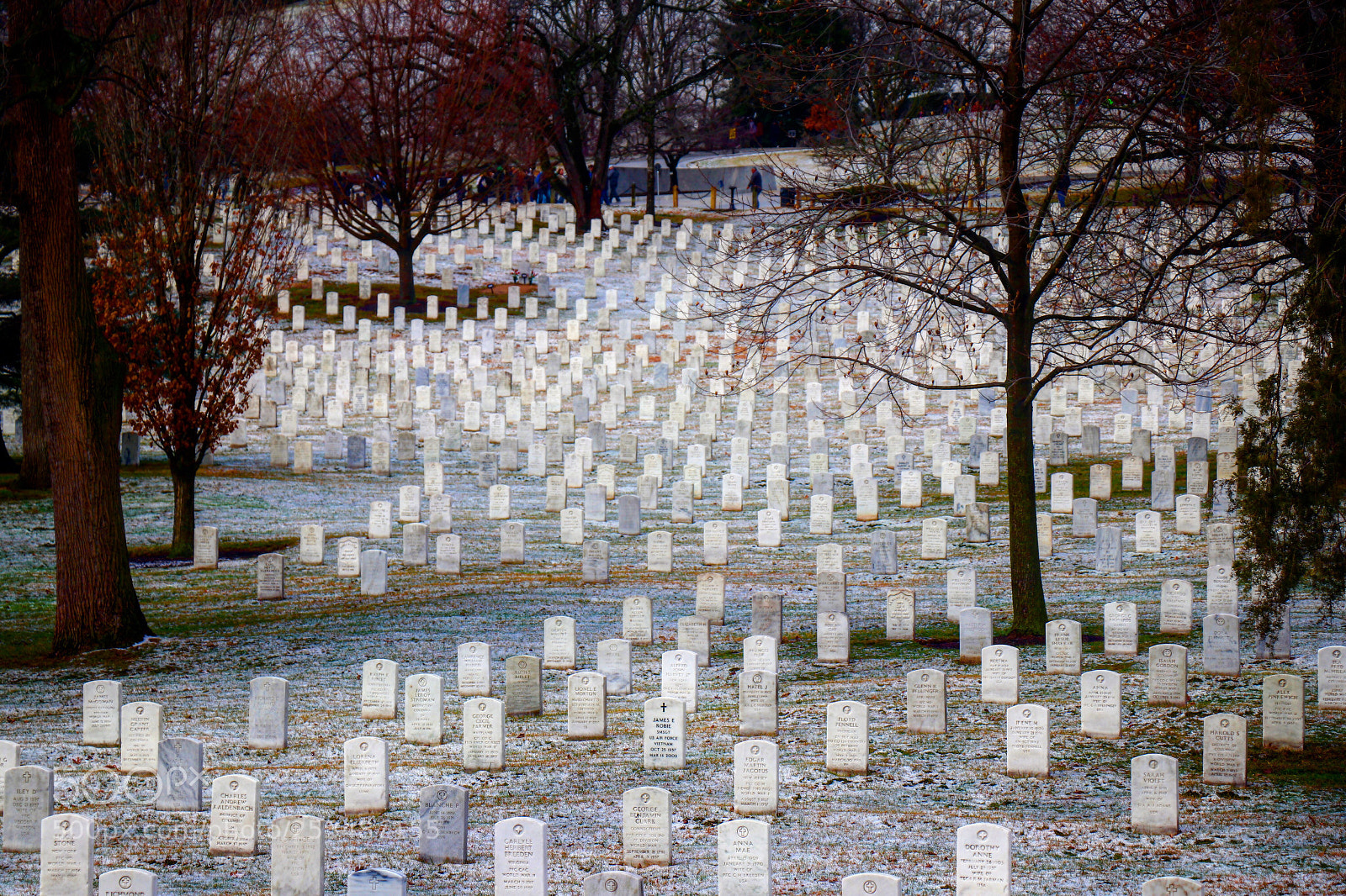 Canon EOS 80D sample photo. Arlington cemetery  photography
