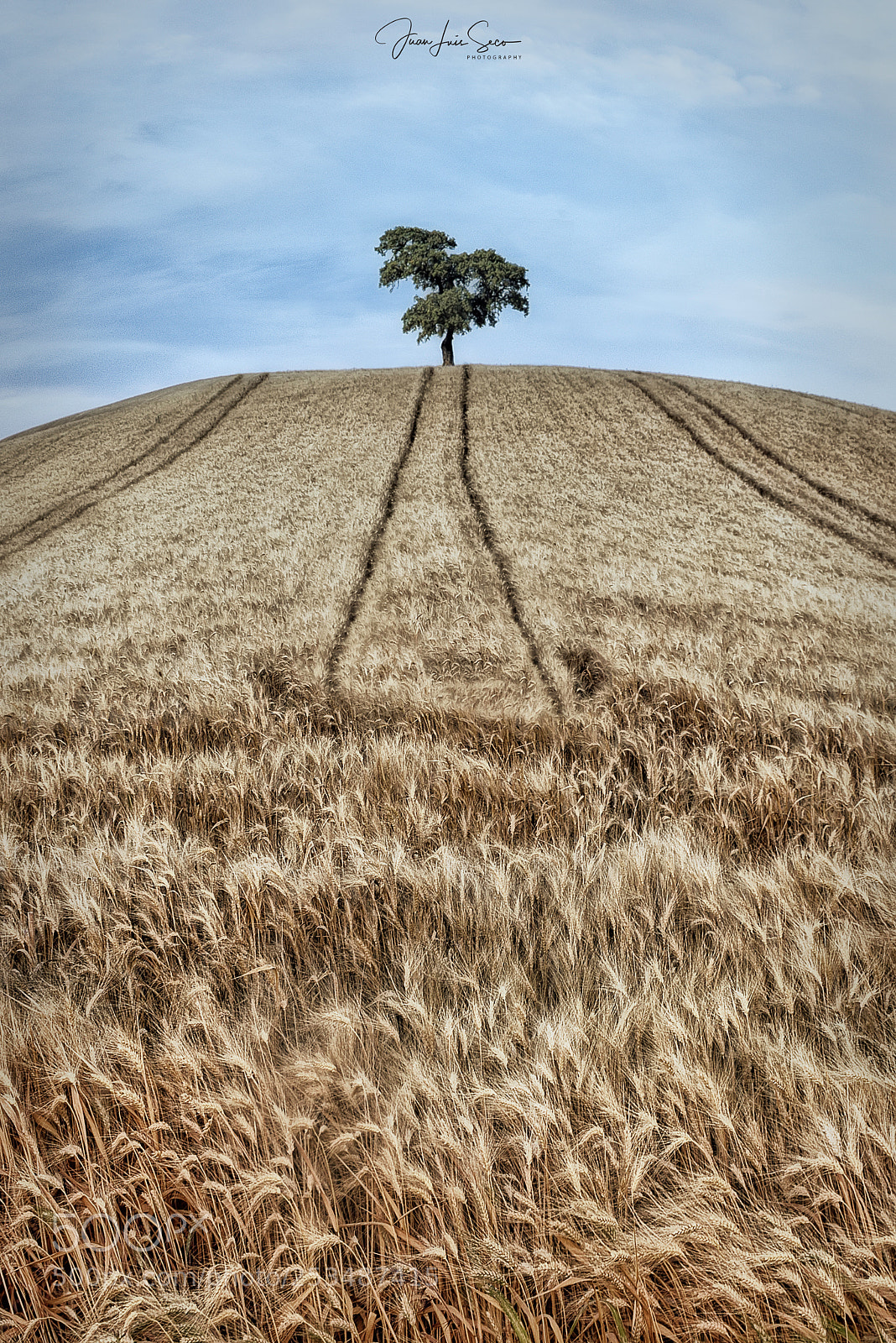 Nikon D810 sample photo. So lo en un photography