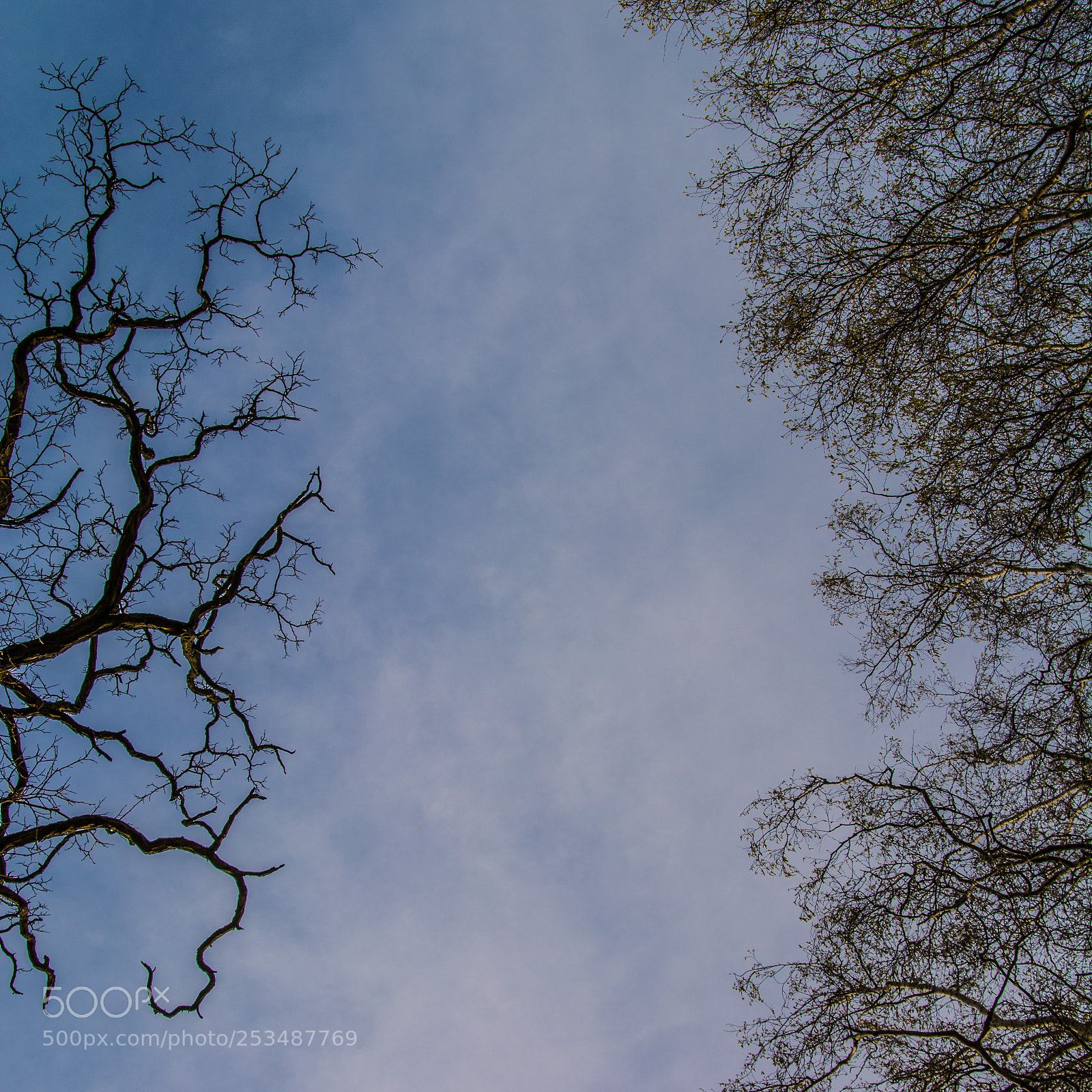 Nikon D7100 sample photo. Opposite 13.4.2018 photography