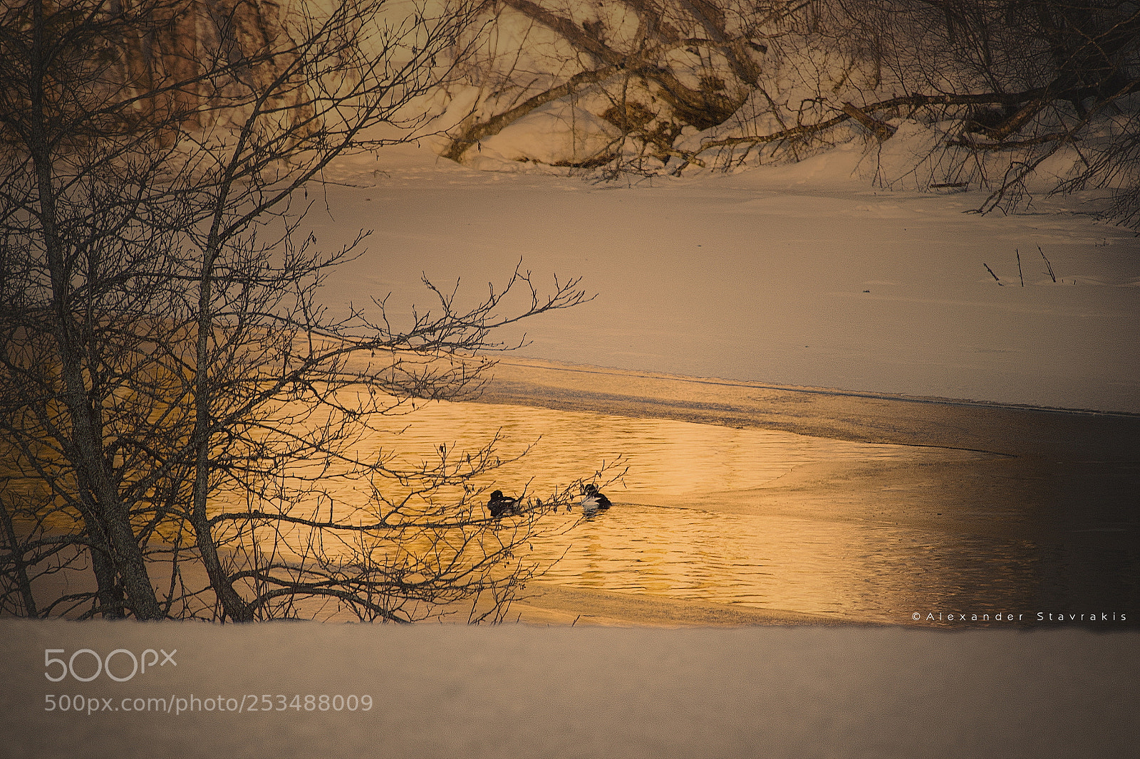 Nikon D3100 sample photo. River photography