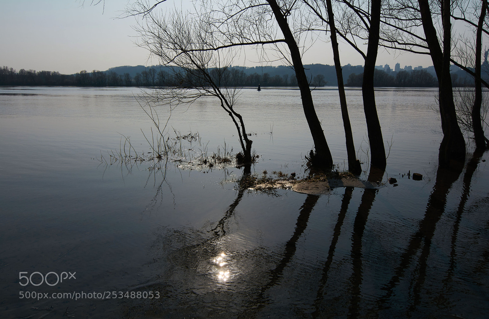 Nikon D7100 sample photo. Trees in high water photography