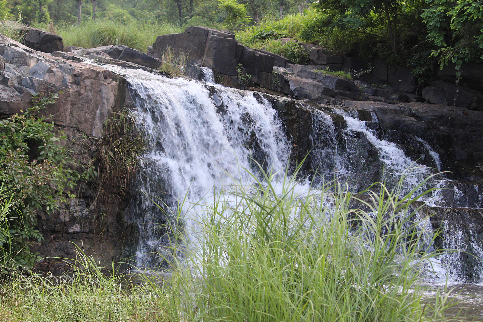 Canon EF-S 55-250mm F4-5.6 IS II sample photo. Img photography