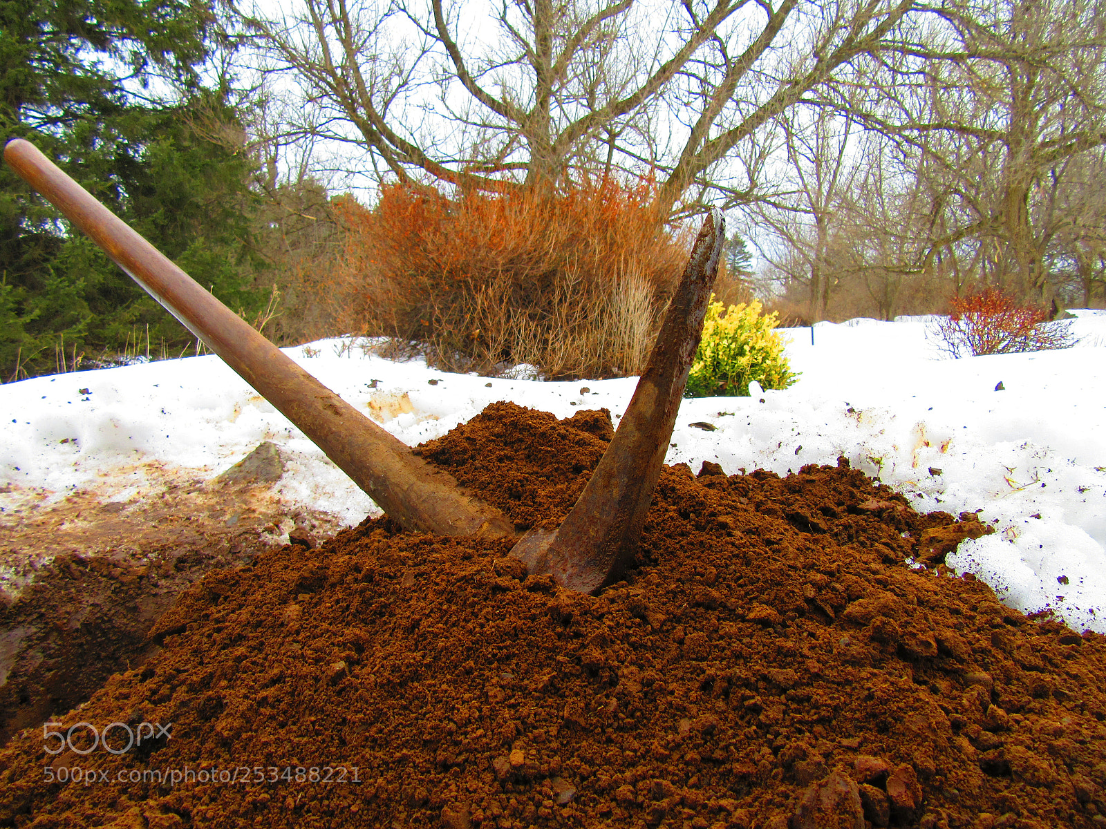 Canon PowerShot SX610 HS sample photo. Dirt and snow photography