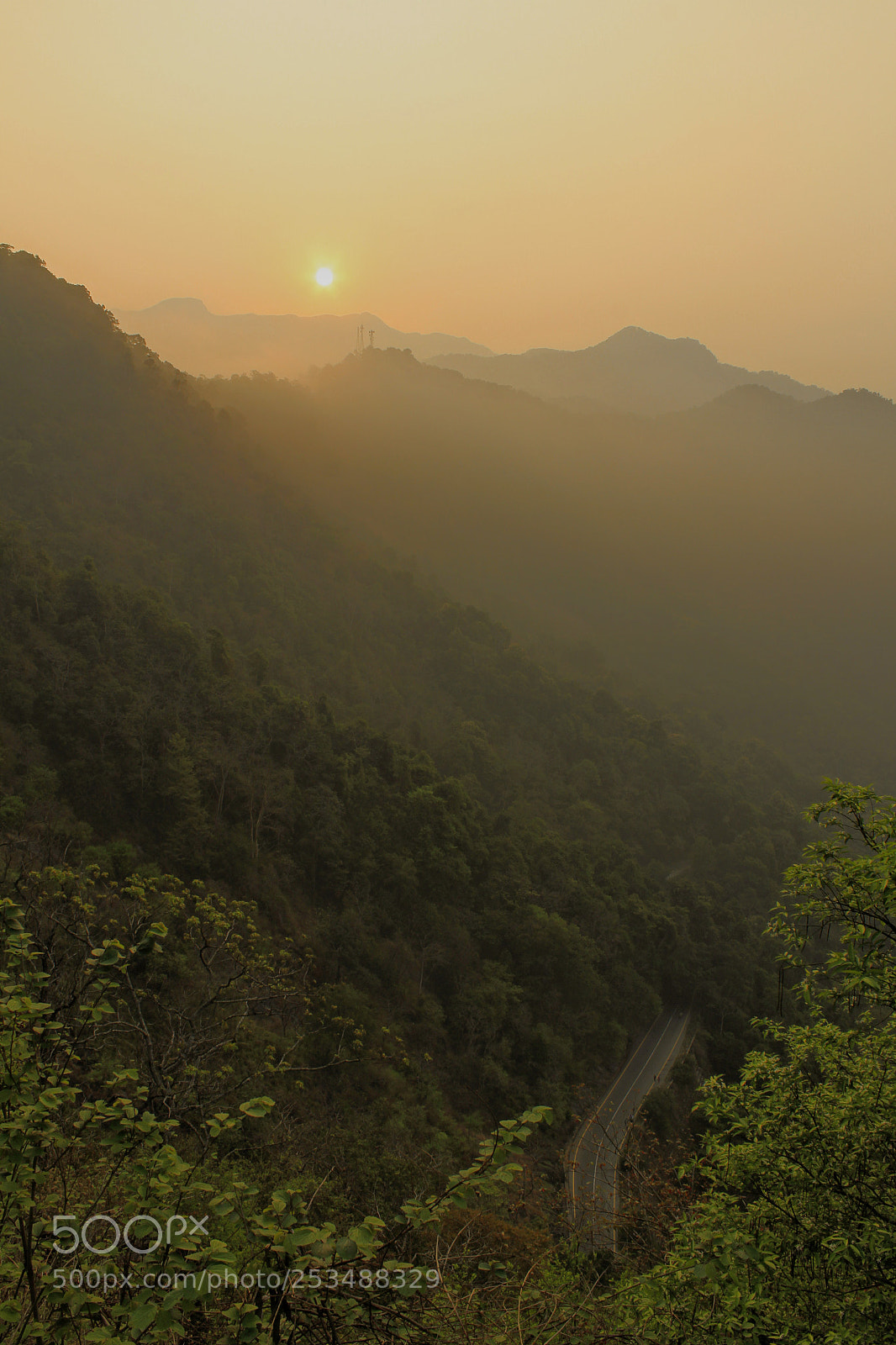 Canon EOS 1300D (EOS Rebel T6 / EOS Kiss X80) sample photo. Foggy morning photography