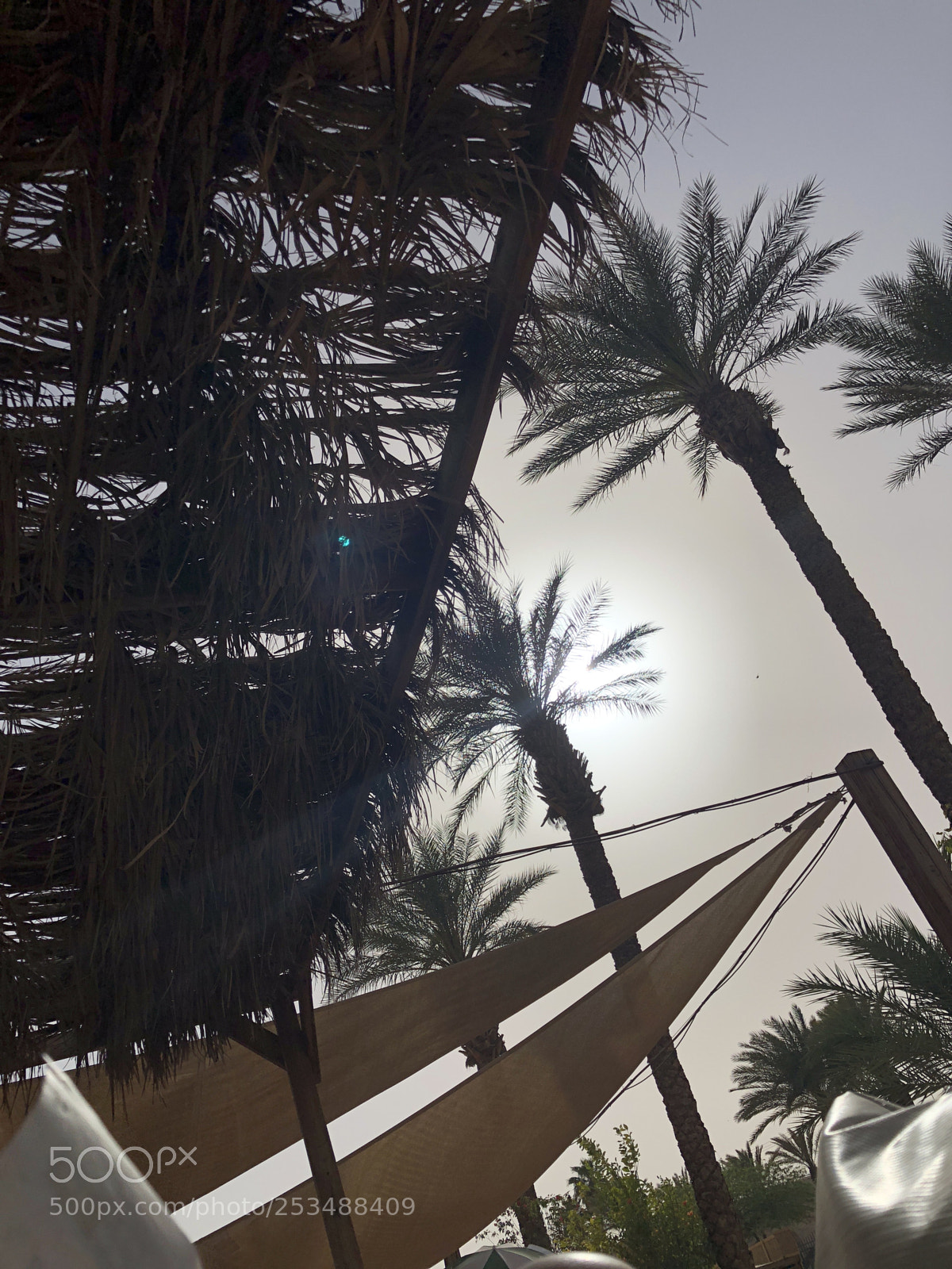 Apple iPhone 8 Plus sample photo. Eilat,israel. photography
