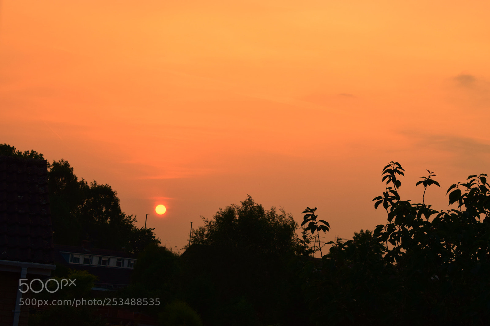 Nikon D3300 sample photo. Sunset in summer photography