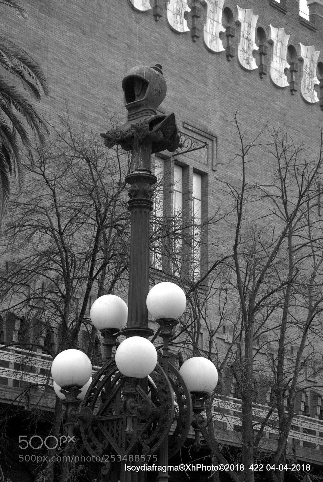 Nikon D3000 sample photo. Dsc photography
