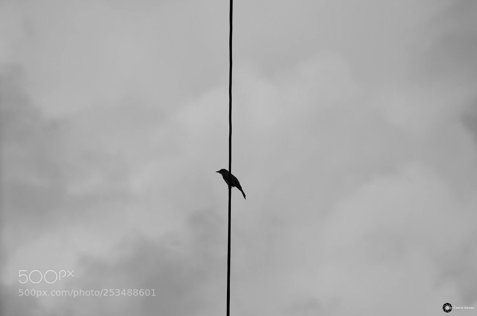 Nikon D5100 sample photo. A blanco y negro photography