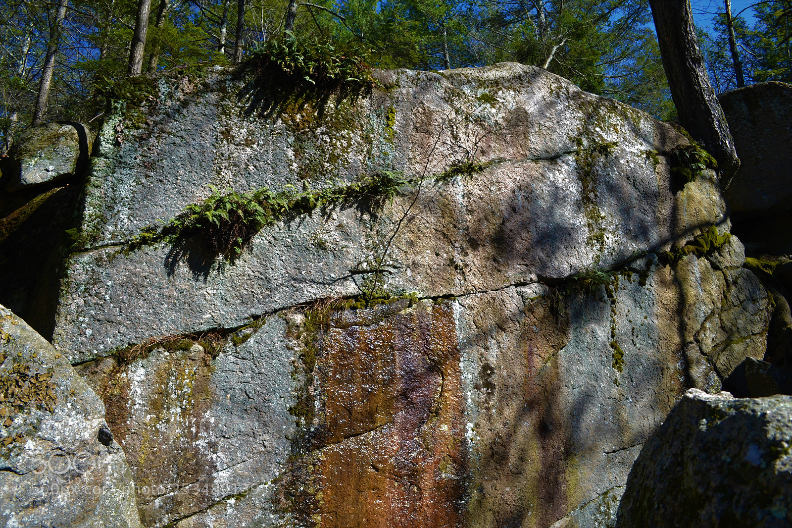 Nikon D3100 sample photo. Cliff wall photography