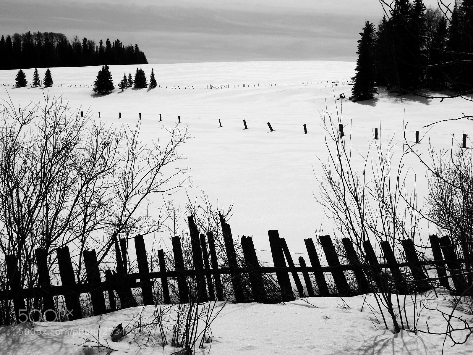 Canon EOS 600D (Rebel EOS T3i / EOS Kiss X5) sample photo. Sea of snow photography