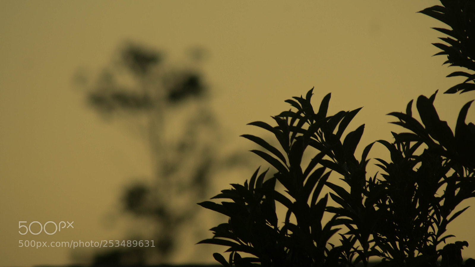 Sony a6000 sample photo. Last minutes of the photography