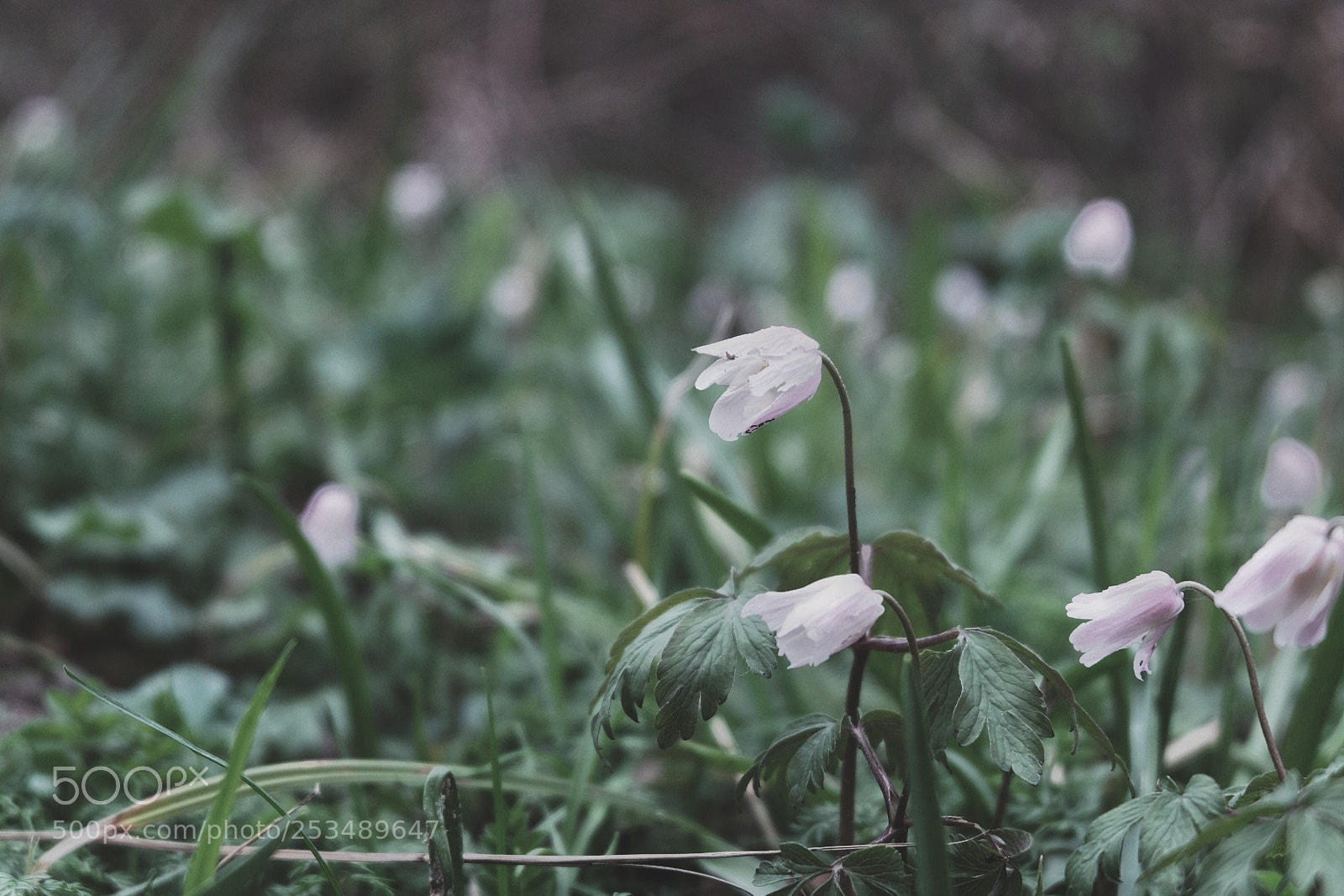 Fujifilm X-T10 sample photo. Untitled photography