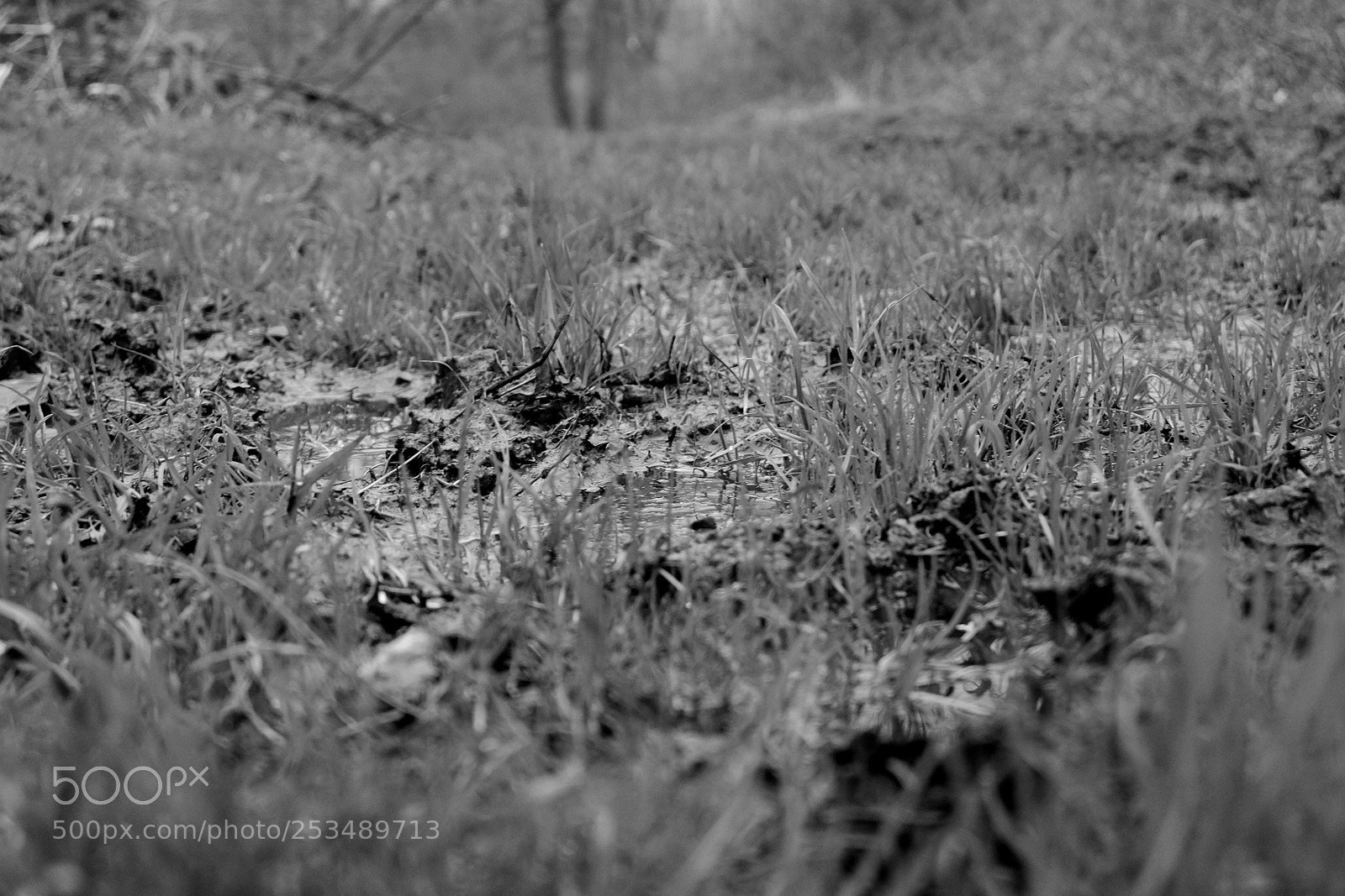 Fujifilm X-T10 sample photo. Untitled photography
