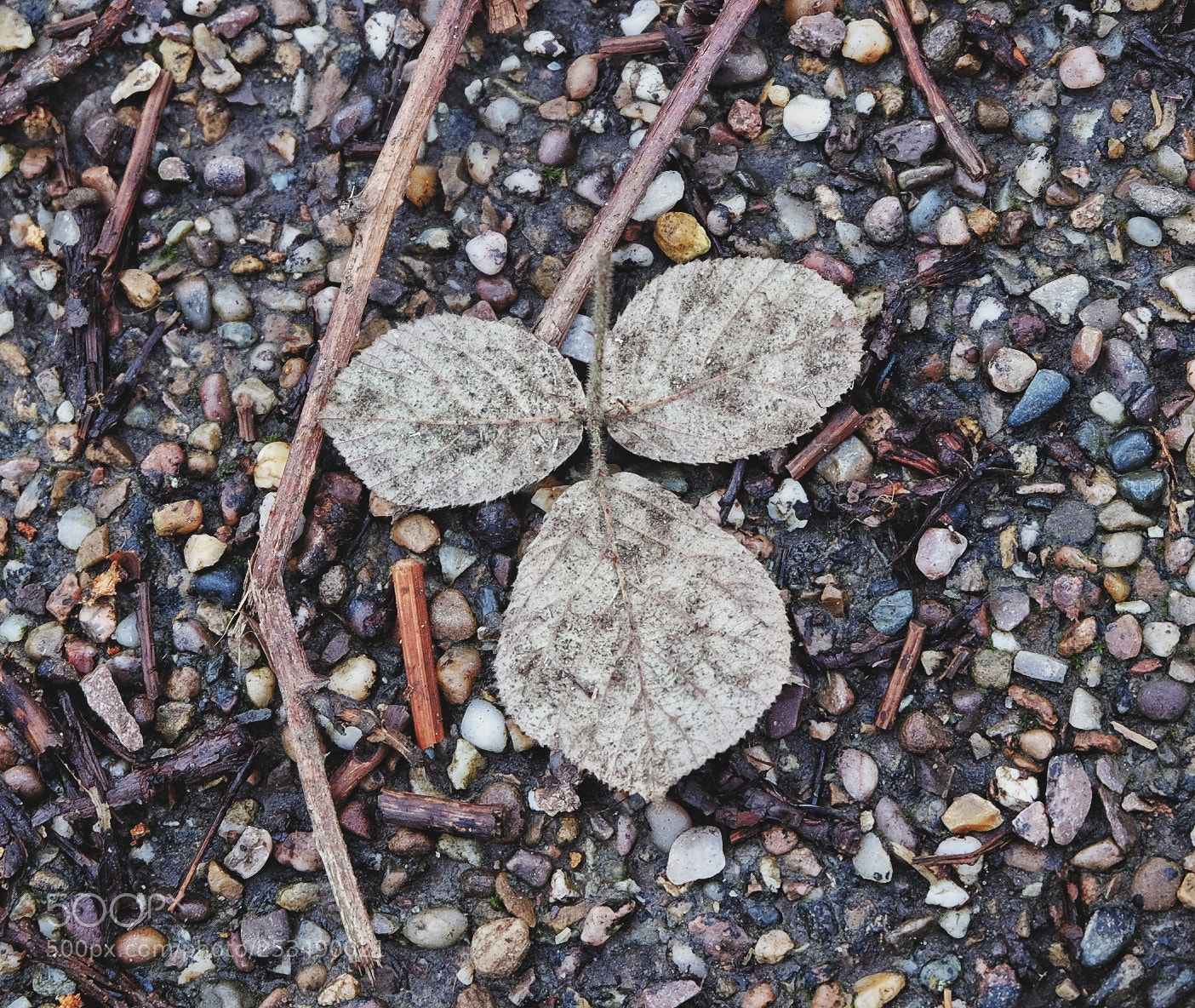 Fujifilm X-T10 sample photo. Untitled photography