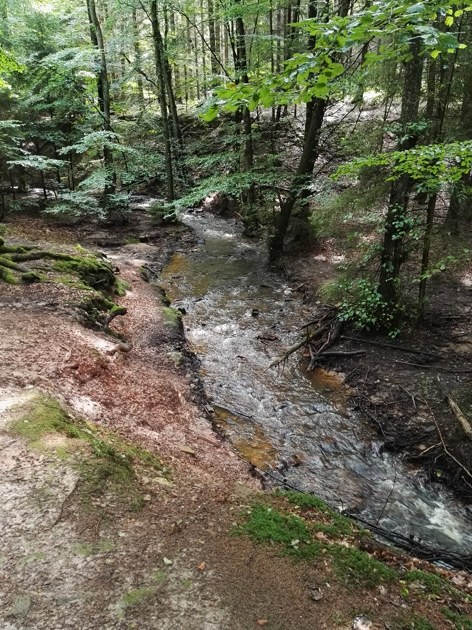 HUAWEI P8 sample photo