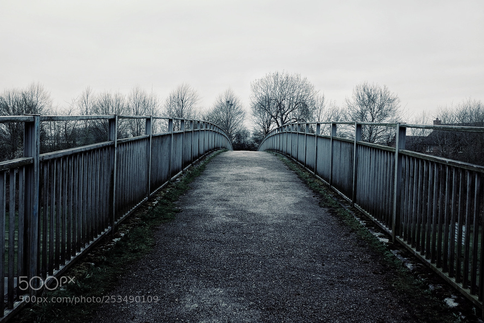Fujifilm X-T10 sample photo. Untitled photography