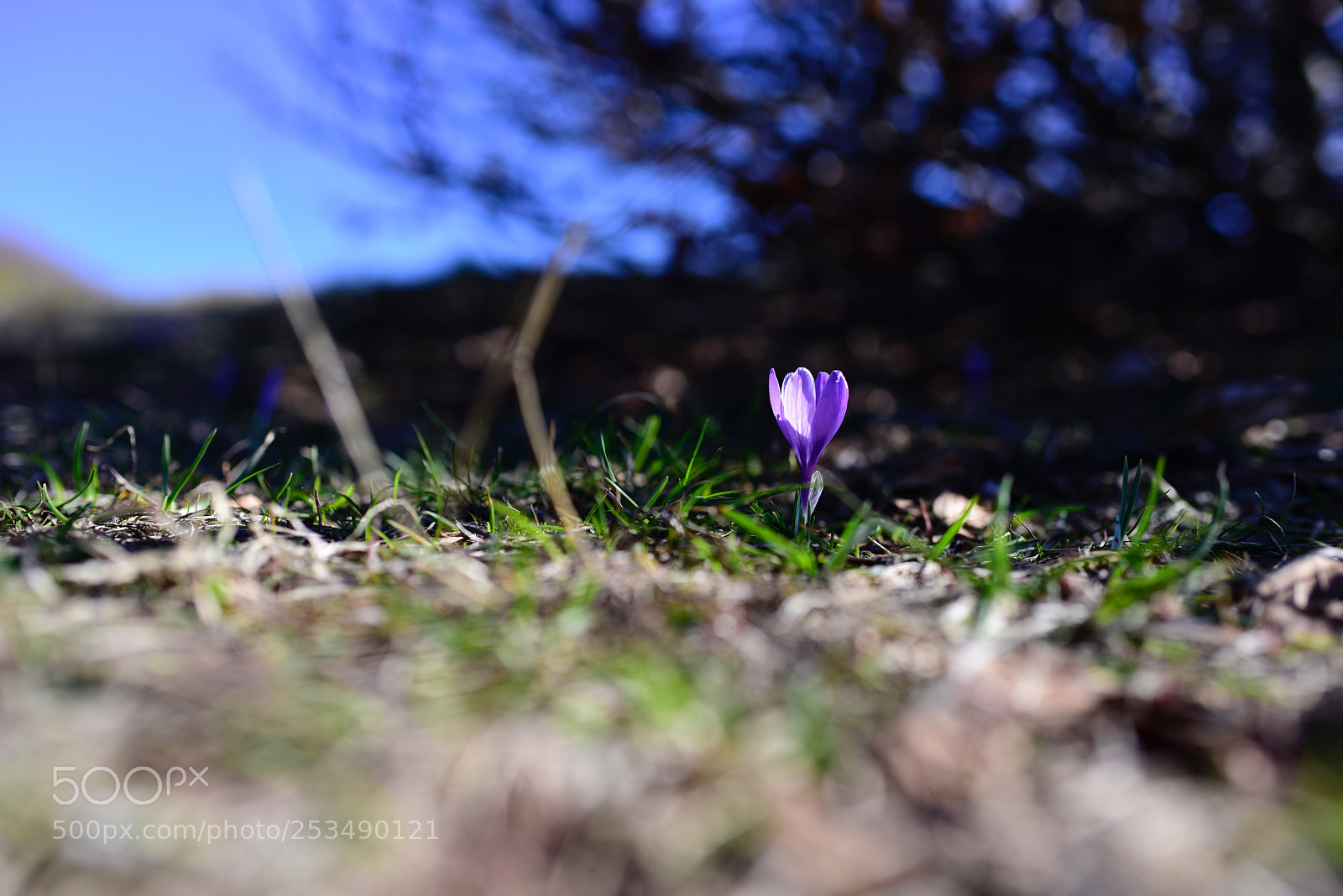 Nikon D810 sample photo. Untitled photography