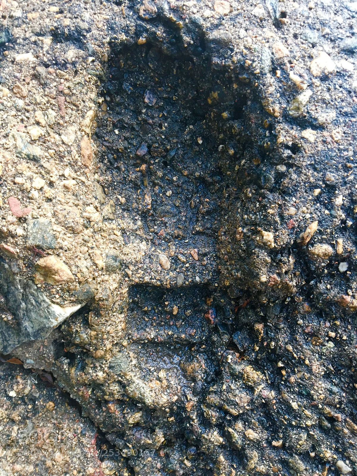 Apple iPhone 6s sample photo. One small step in photography