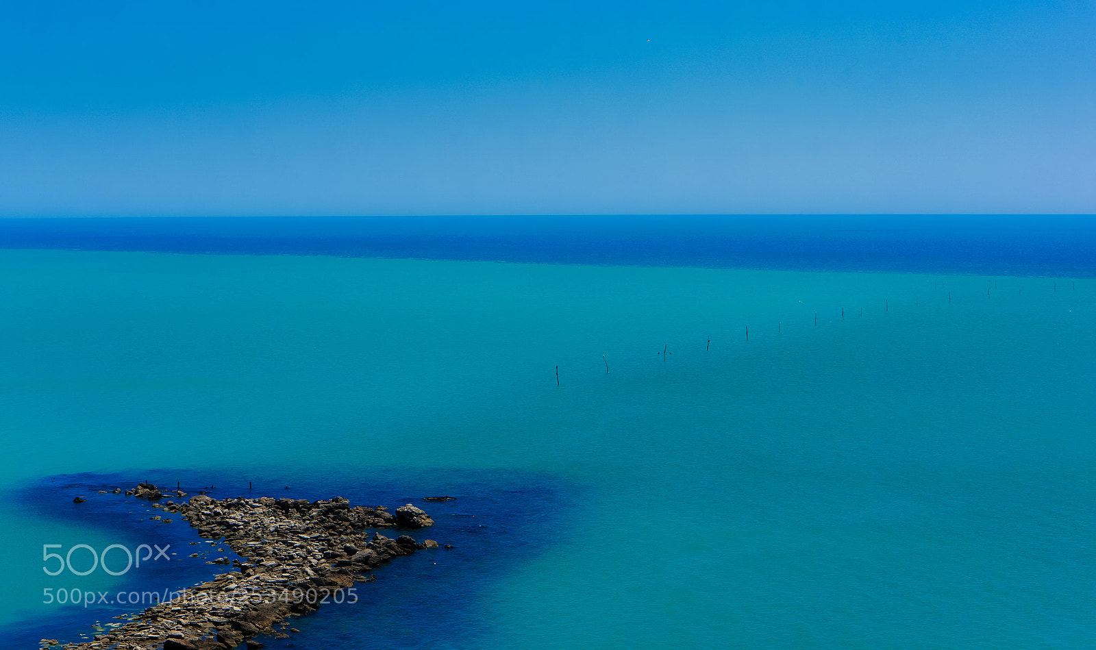 Sony Alpha NEX-5R sample photo. Blue arrow photography
