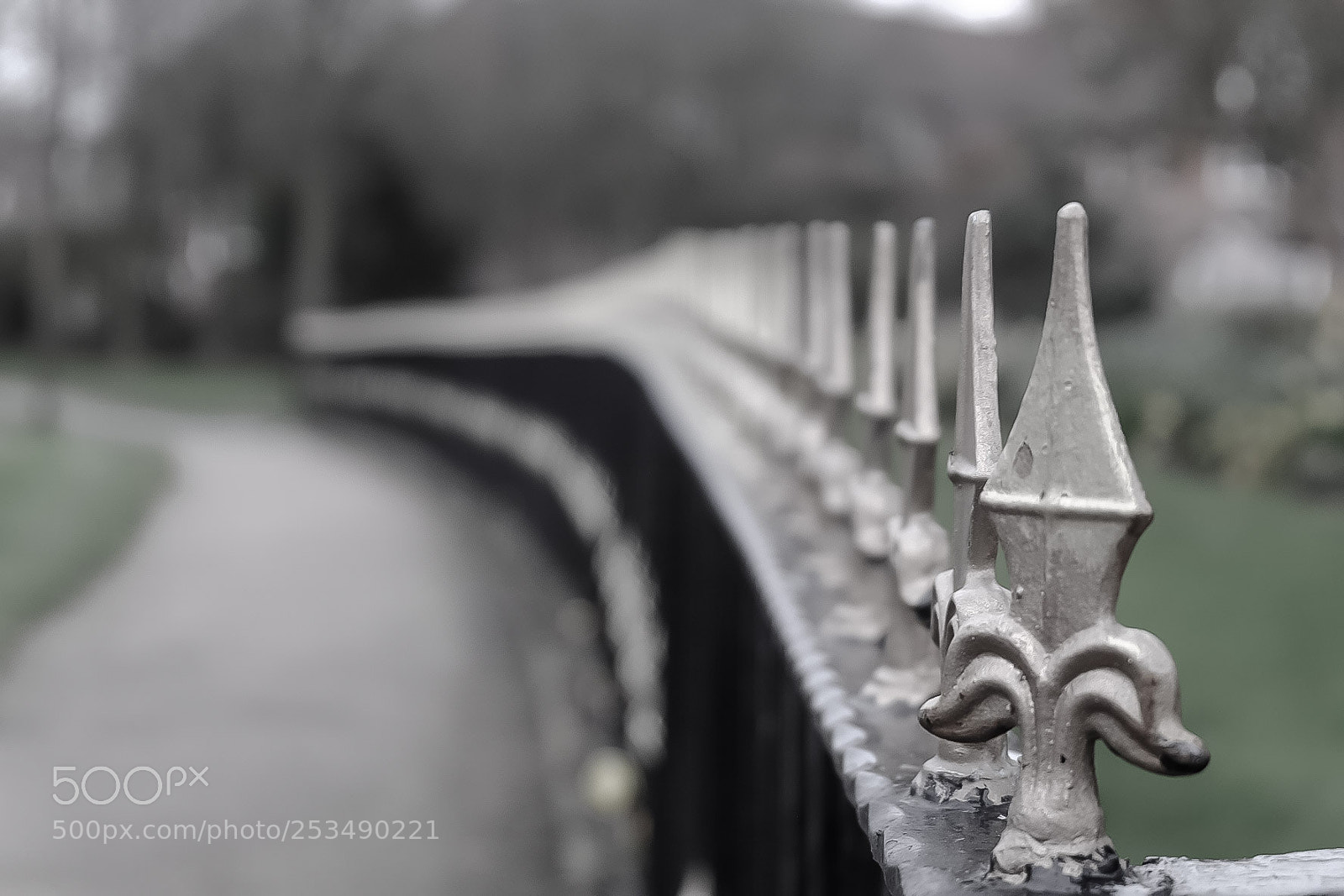 Fujifilm X-T10 sample photo. Untitled photography