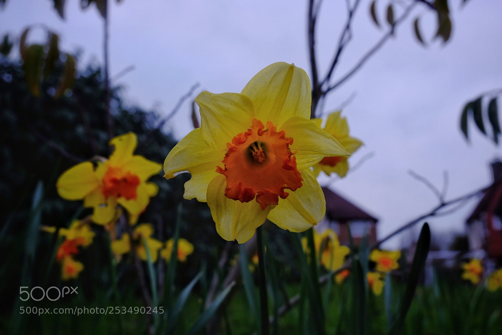 Fujifilm X-T10 sample photo. Untitled photography