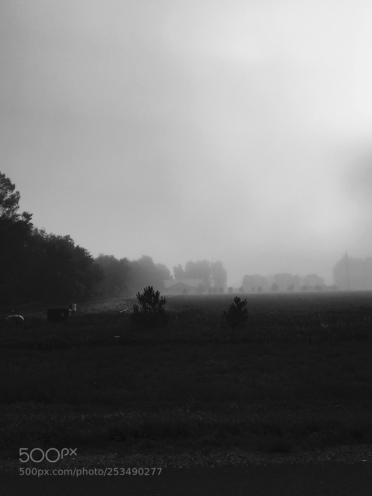 Apple iPhone 6s sample photo. Thick fog over a photography