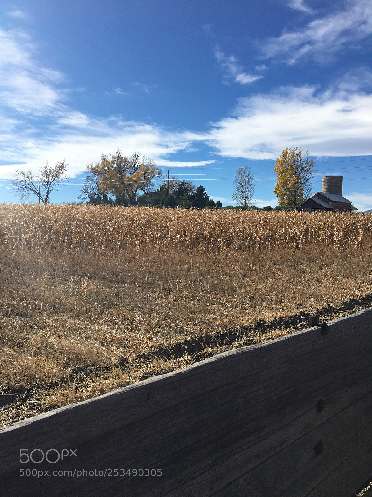 Apple iPhone 6s sample photo. Hayride photography