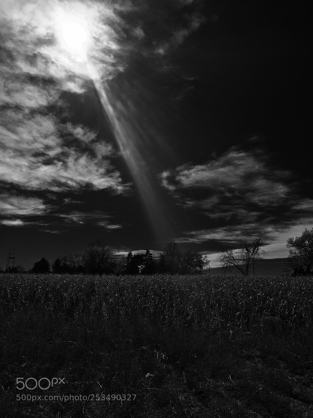 Apple iPhone 6s sample photo. Heaven upon the fields photography