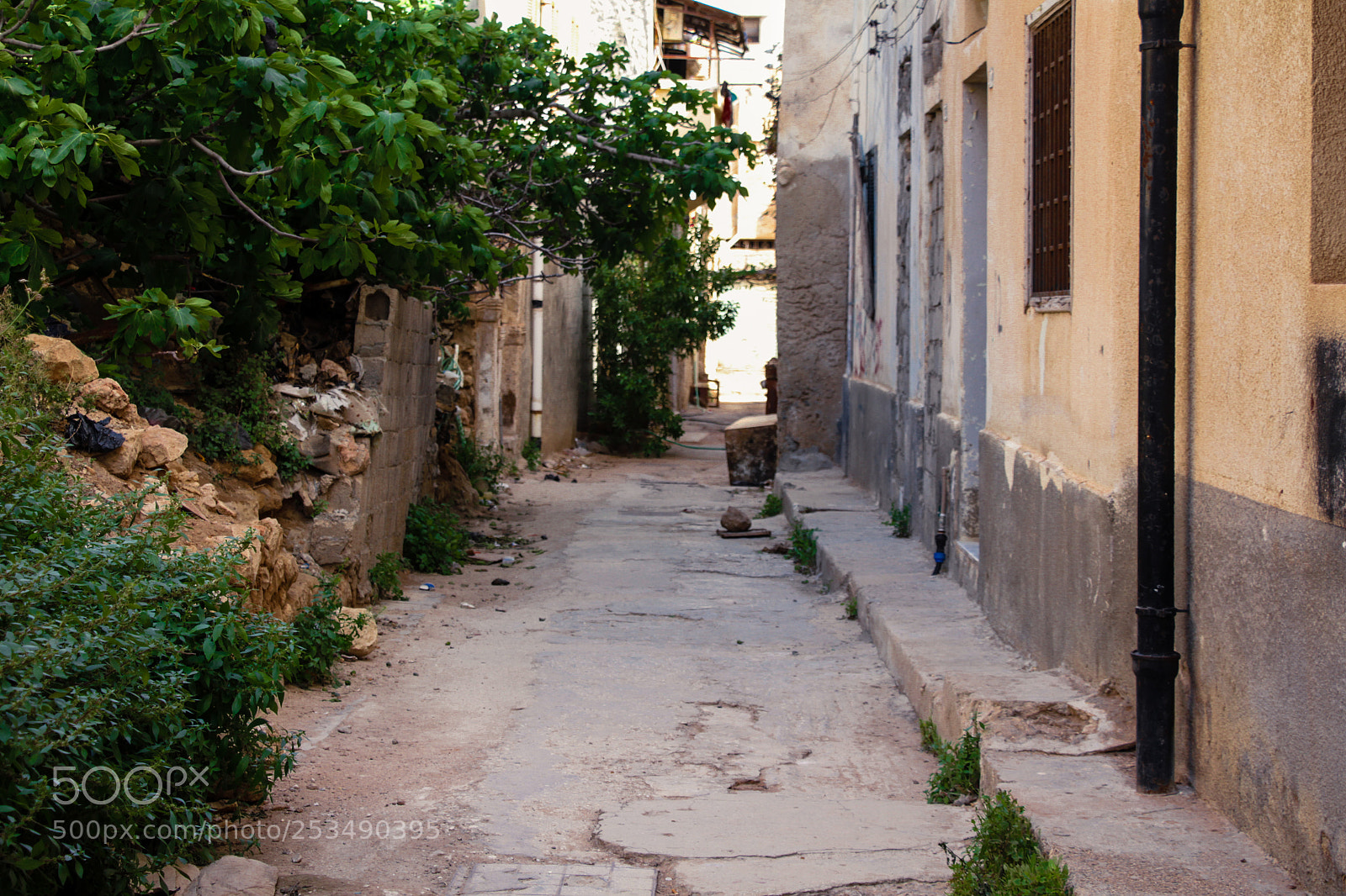 Canon EOS 7D sample photo. This alley is one photography