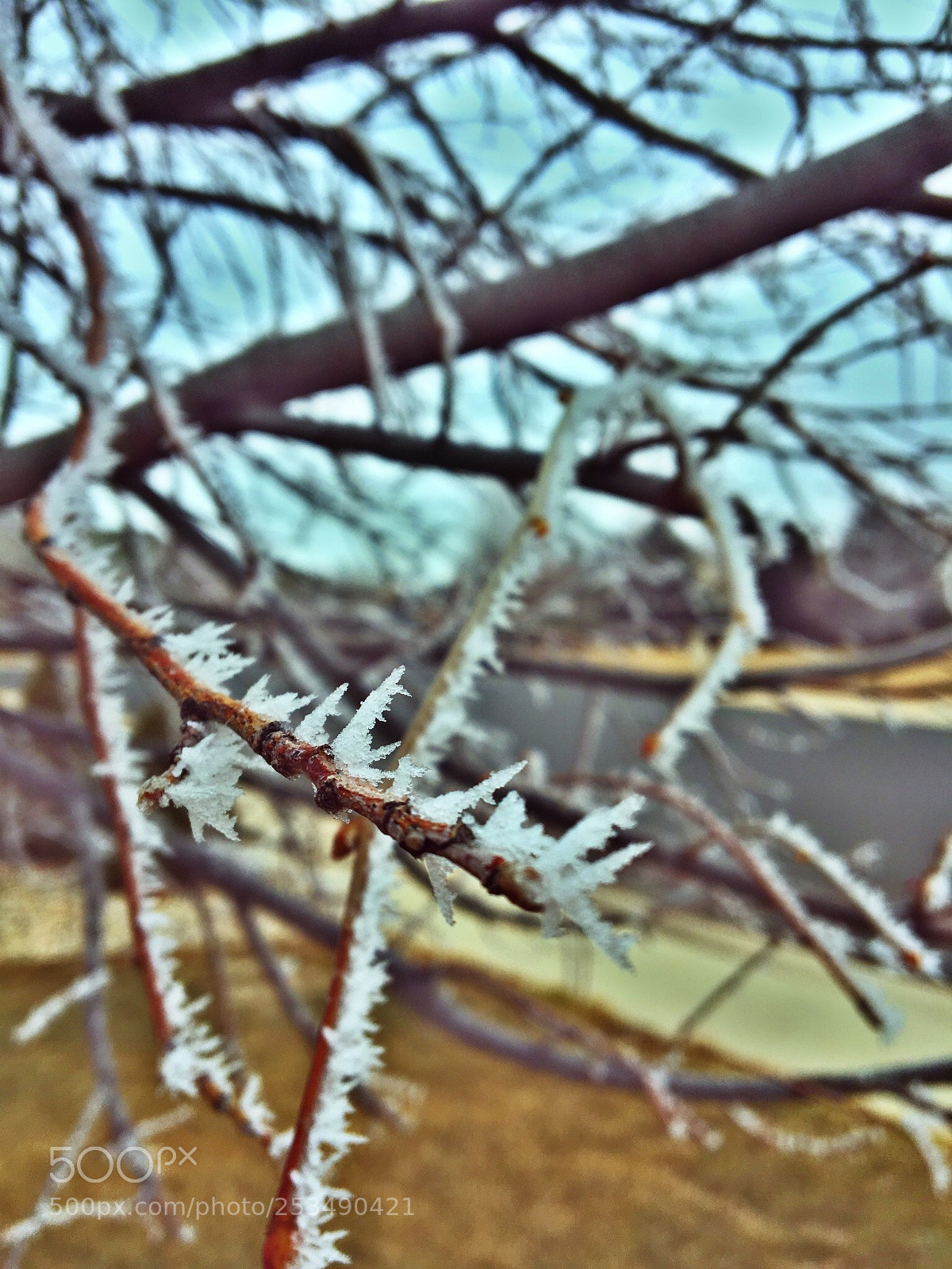 Apple iPhone 6s sample photo. Crystal spikes photography