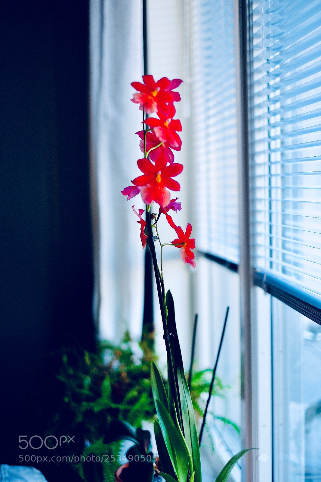 Fujifilm X-T1 sample photo. Untitled photography