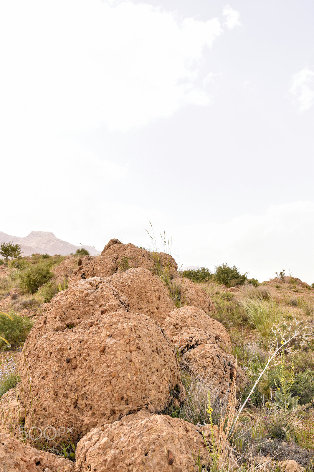 Nikon D5600 sample photo. Stone in stone photography
