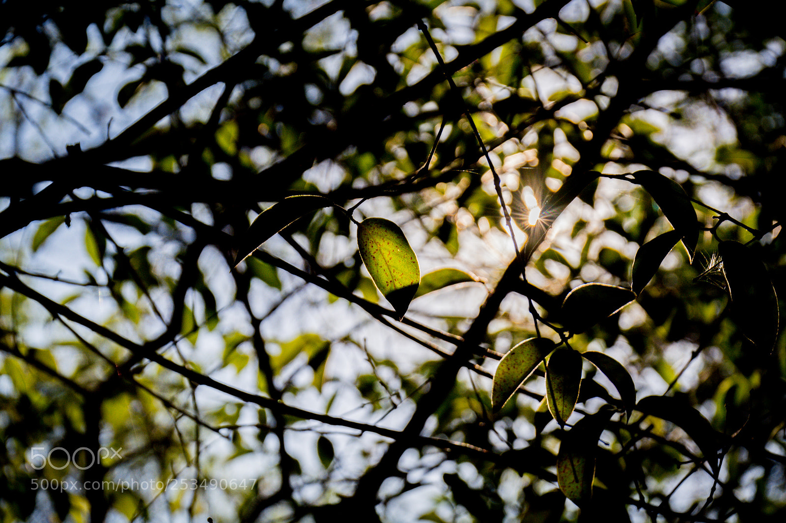 Nikon D5200 sample photo. Amanecer photography