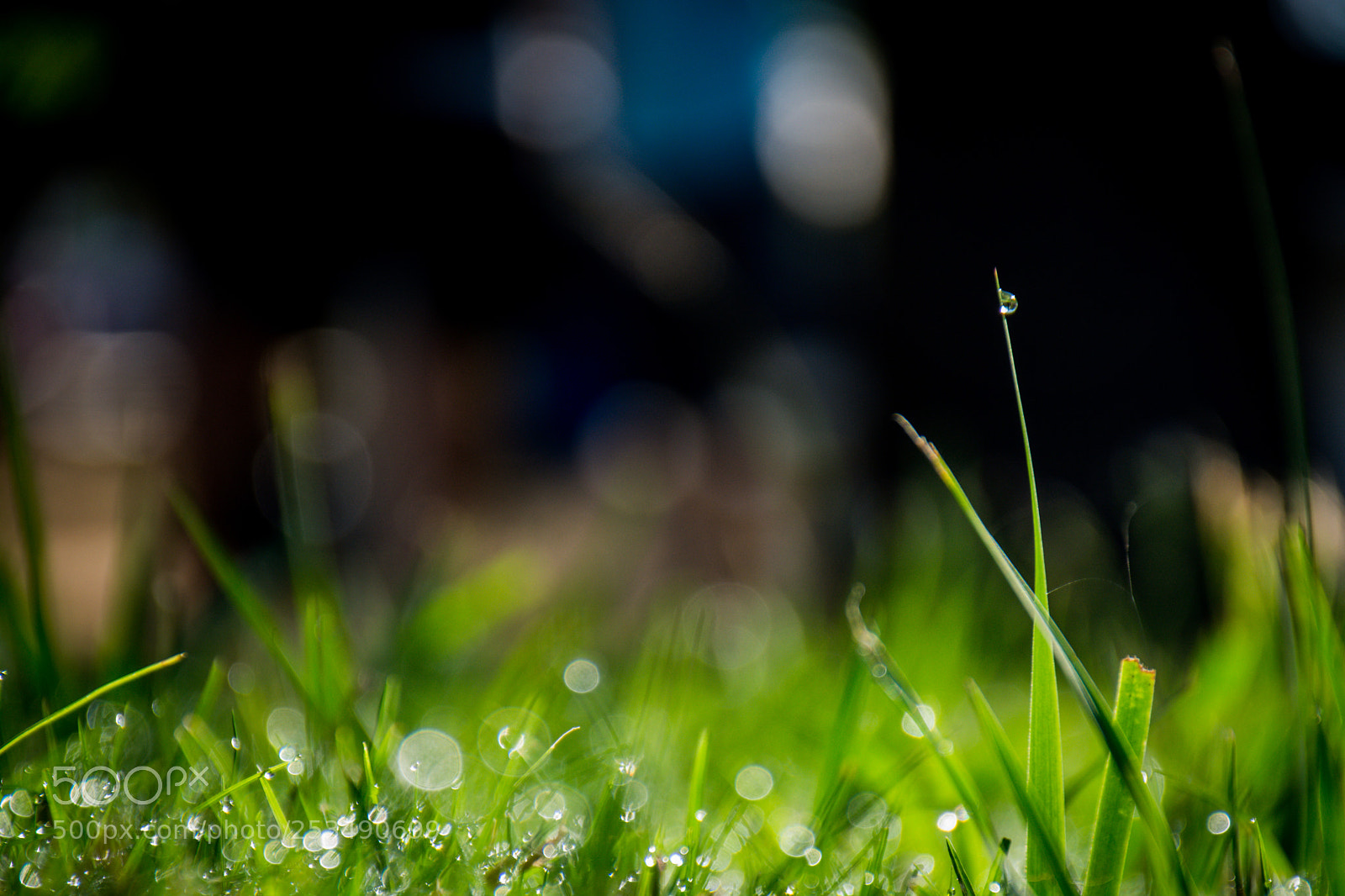 Nikon D5200 sample photo. Humedad de la ma photography