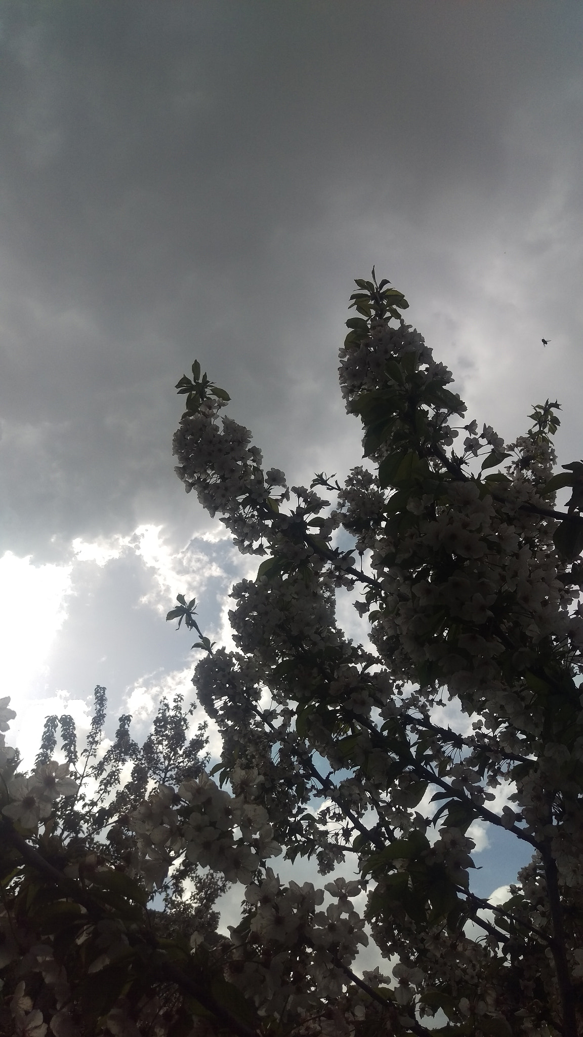 HTC ONE M9 sample photo. Escaping from the scene photography