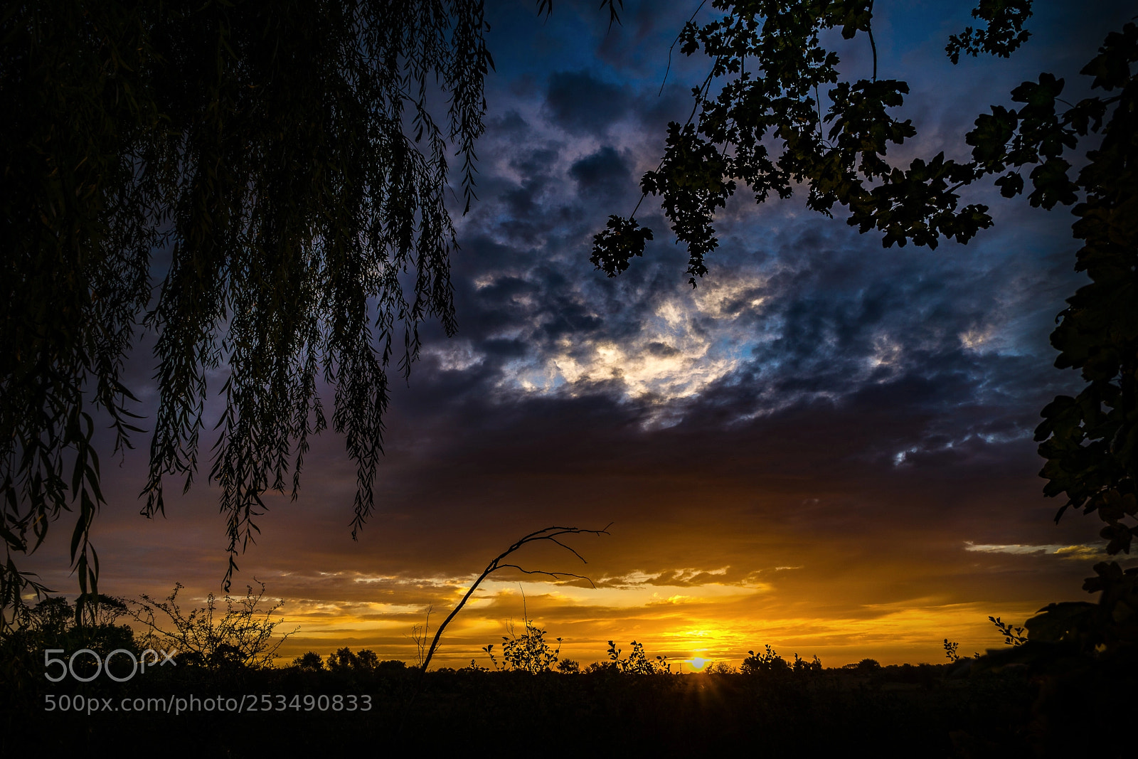 Sony a6000 sample photo. Sonnenaufgang in vrouwenpolder photography