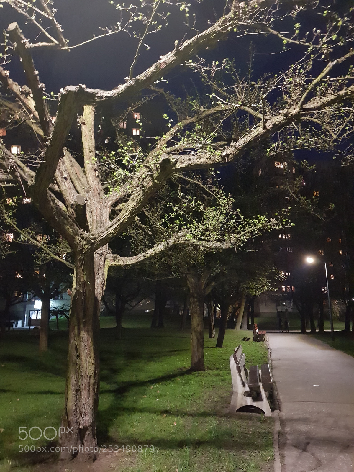 Samsung Galaxy S8 sample photo. Gdzieś photography