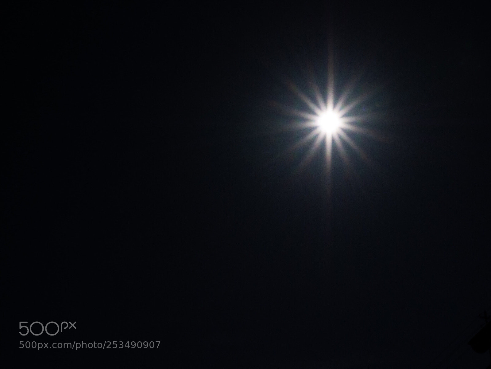 Panasonic DMC-G81 sample photo. Sonnenstern mal anders
 photography