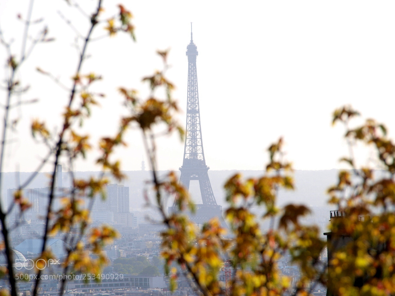 Olympus E-420 (EVOLT E-420) sample photo. Spring in paris photography