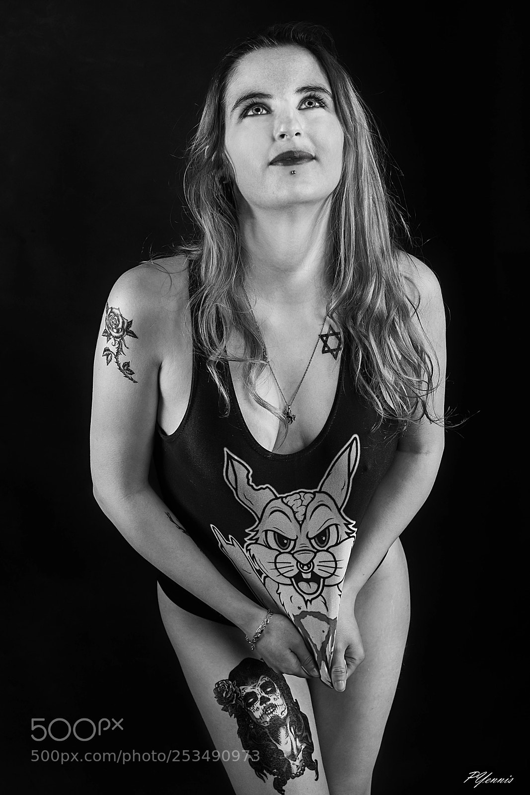 Nikon D850 sample photo. Upset rabbit photography
