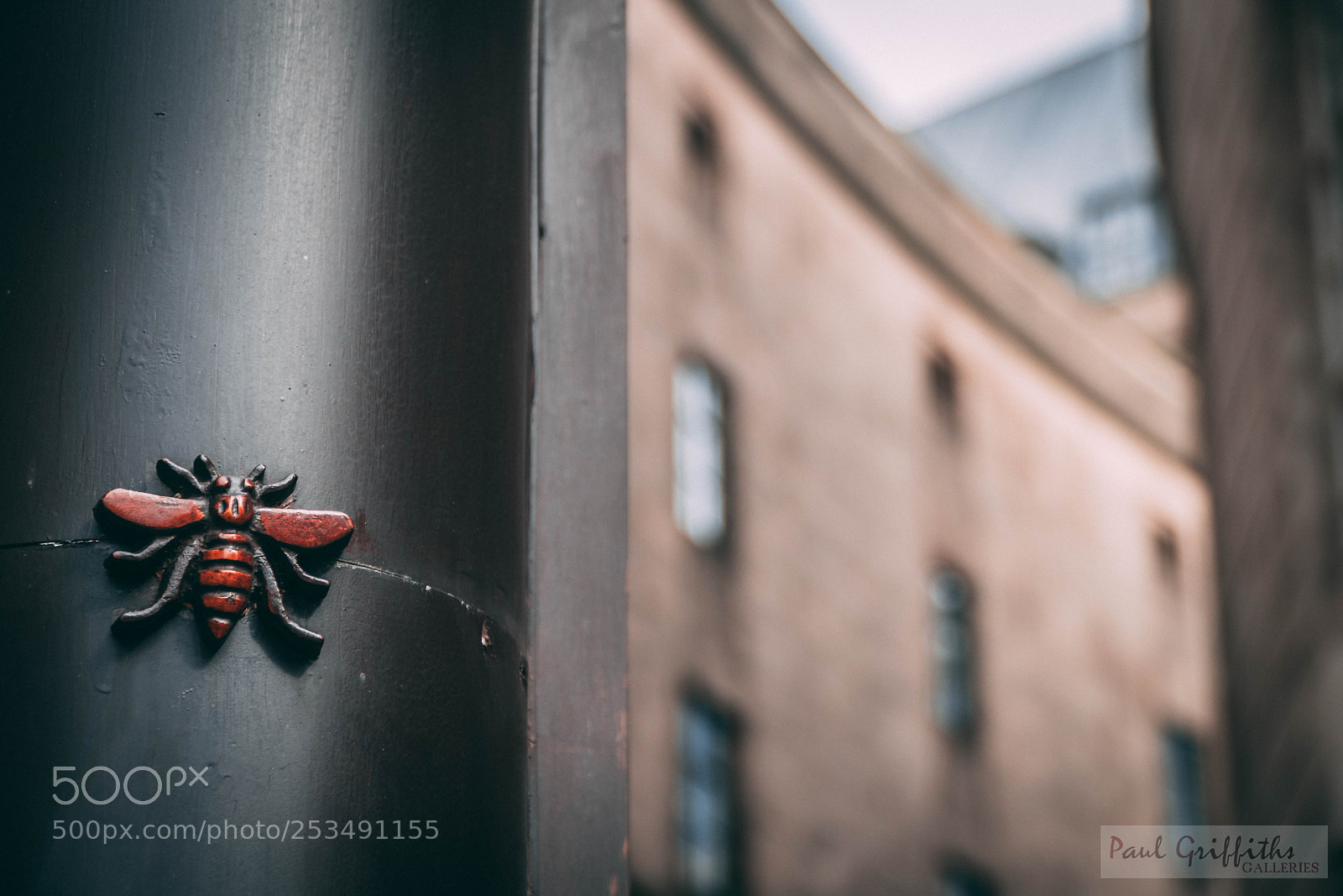 Sony a6500 sample photo. Manchester photography