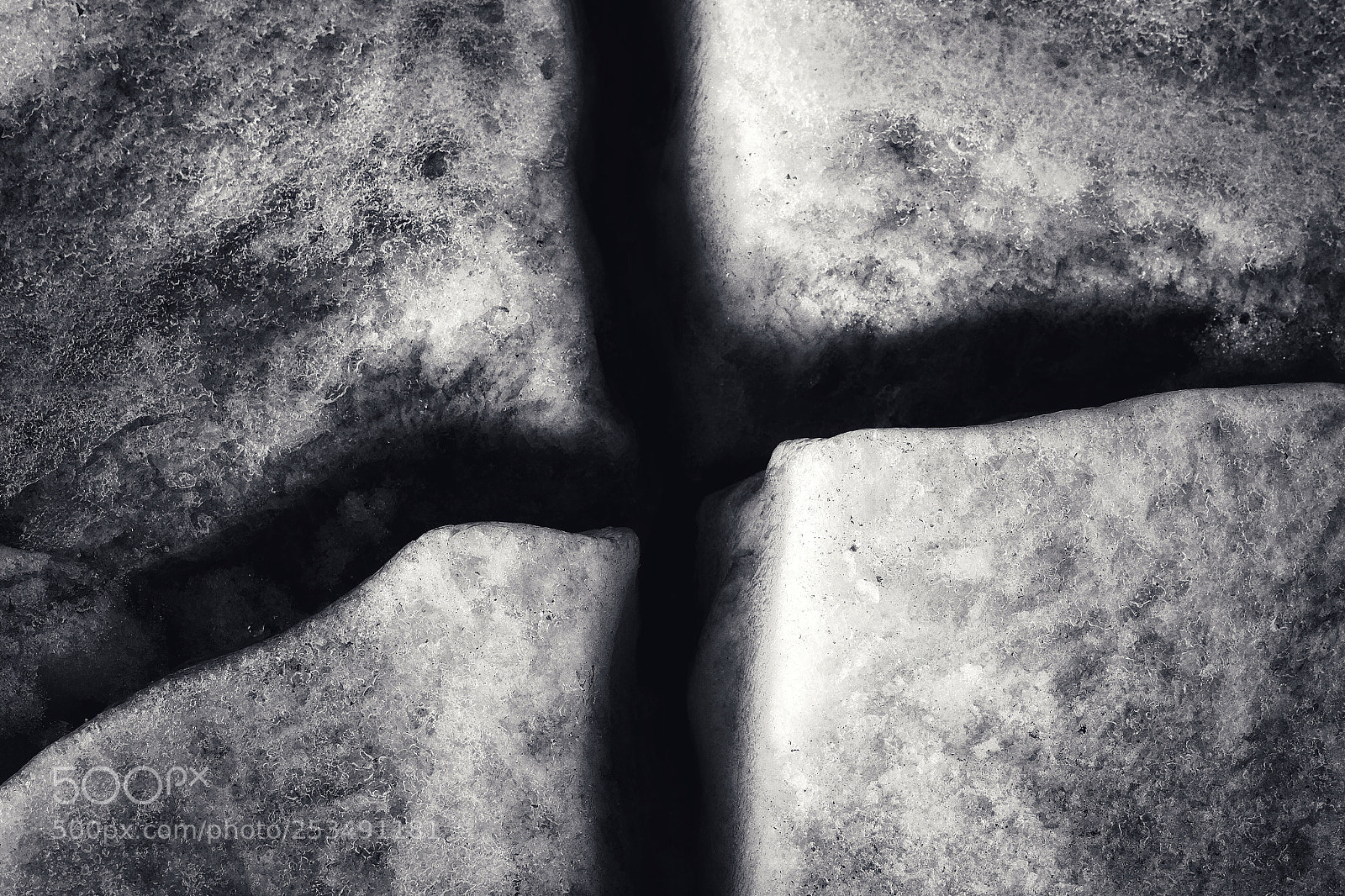Fujifilm X-T1 sample photo. On thin ice  photography