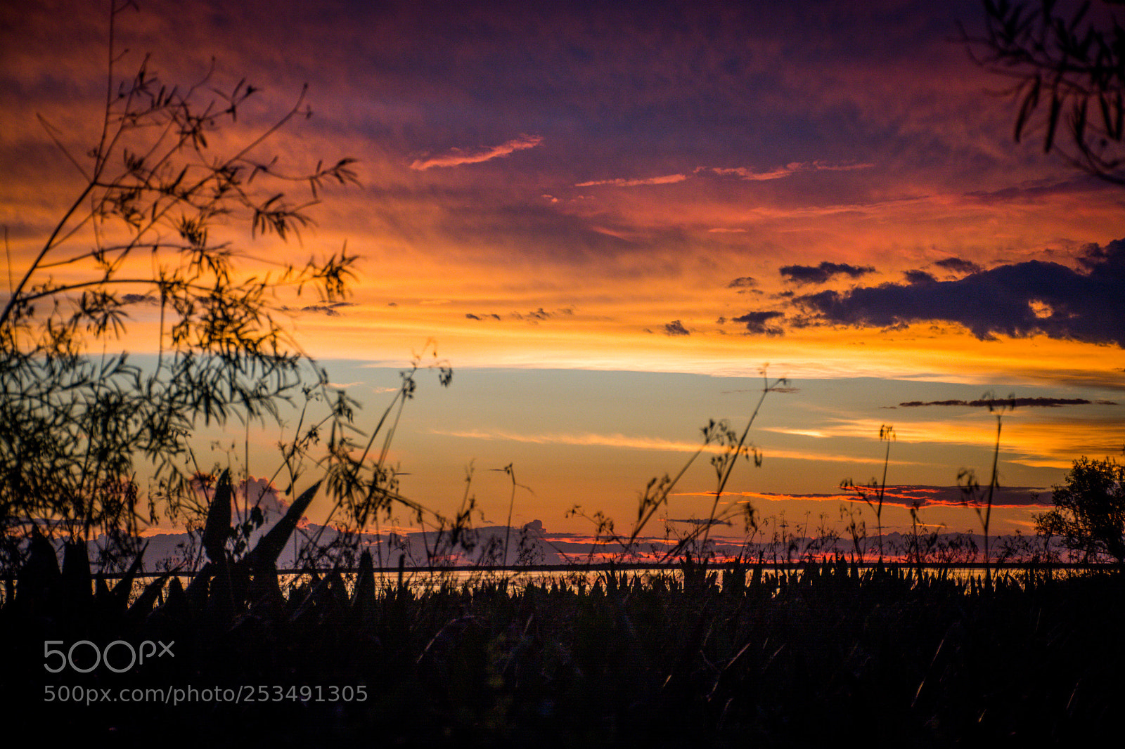 Nikon D5200 sample photo. Atardecer en iberá photography